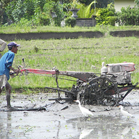 Photo de Bali - Balade, Garuda et spectacle